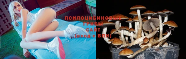 гашик Абаза