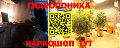 spice Балашиха