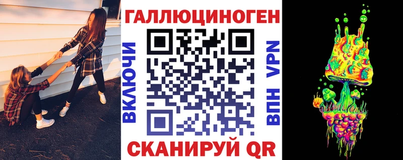 Псилоцибиновые грибы MAGIC MUSHROOMS  купить наркотики цена  Грозный 