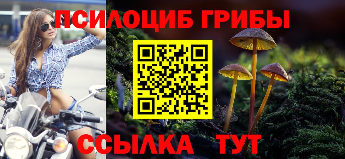 Грозный  что такое наркотик  Галлюциногенные грибы мухоморы  Вход с VPN  Псилоцибиновые грибы мухоморы 