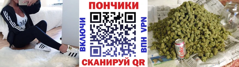 Бошки Шишки марихуана Грозный